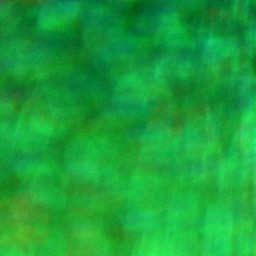 Bokeh-537
